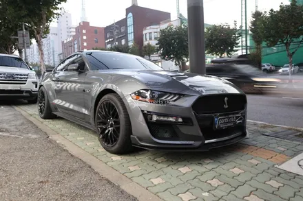 포드 머스탱 에코부스트를 쉘비 GT500 범퍼로 교체해봤습니다 / 서울 양천