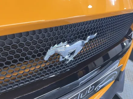 머스탱 컨버터블 오렌지퓨리 쉘비 GT500 앞범퍼 바디킷 교체 튜닝 / 서울 양천