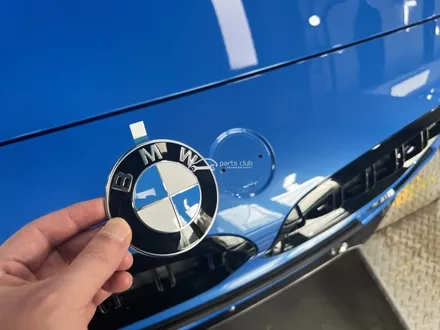 BMW G29 Z4 앞범퍼 사고 대물 보험처리 / 서울 양천