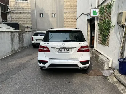 벤츠 ML350 뒷범퍼 사고 보험처리 ML63 AMG 바디킷 교체 / 서울 양천 신정동
