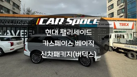 팰리세이드 버텍스 1100 신차패키지 / 화성시 진안동