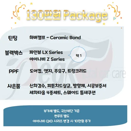 브이쿨병점점 팰리세이드 V-KOOL VK Package / 화성시 진안동