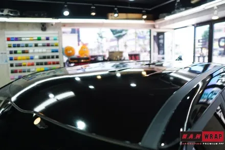 셀토스투톤 루프스킨 / 대전 태평동