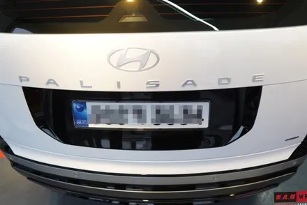 LX3팰리세이드 번호판랩핑 / 대전 태평동