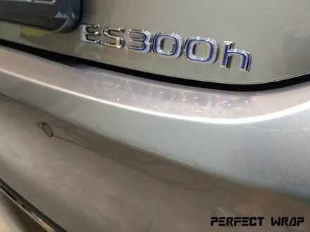 퍼펙트랩 렉서스 ES300h [ ppf / 생활보호ppf / 본넷ppf / 필러ppf / 헤드라이트ppf / 히말라야 / 유리막코팅 ] 작업 후기 / 성남시 수정구 창곡동