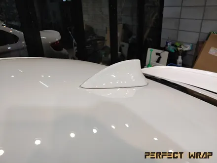 퍼펙트랩 BMW M2 컴페티션 [ 위례랩핑 / 위례PPF / 생활보호 패키지 / 포인트데칼 / 포인트랩핑 ] 작업 후기 / 성남시 수정구 창곡동