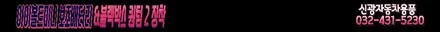 인천 신차패키지(썬팅+블랙박스+보조배터리+BB광각미러+PPF+유리막코팅)혼다어코드