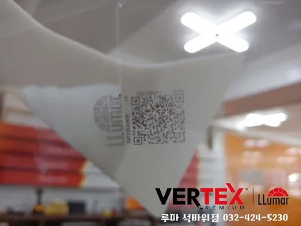 올뉴카니발 신차검수 및 루마 버텍스900or아티젠 시공