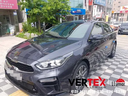 루마 버텍스650 썬팅 트렌드~