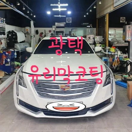 캐딜락 CT6, BMW528I 광택, 유리막코팅 작업 / 목포, 광주, 나주
