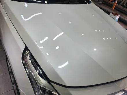 캐딜락 CT6, BMW528I 광택, 유리막코팅 작업 / 목포, 광주, 나주