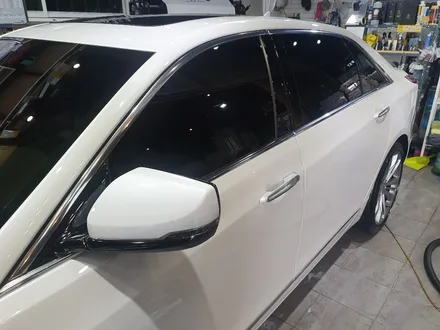 캐딜락 CT6, BMW528I 광택, 유리막코팅 작업 / 목포, 광주, 나주