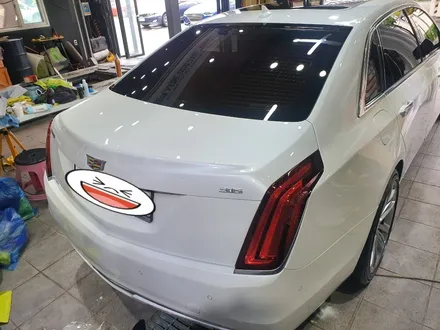 캐딜락 CT6, BMW528I 광택, 유리막코팅 작업 / 목포, 광주, 나주