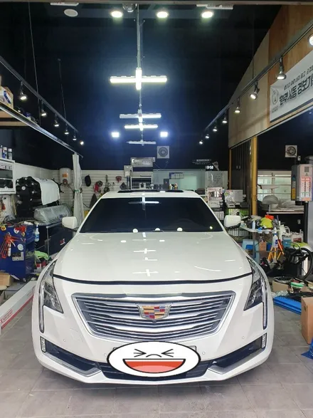 캐딜락 CT6, BMW528I 광택, 유리막코팅 작업 / 목포, 광주, 나주
