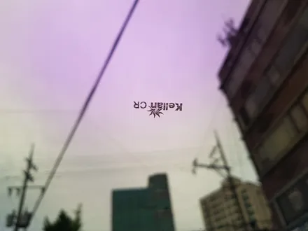 더뉴카니발 켈란CR 카멜레온 시공은 울산컬러썬팅 전문점에서 하다