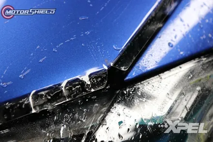 스포티한 BMW M3 전면 보호는 필수!! 프론트 패키지 by 대전랩핑 & 대전PPF 모터쉴드 / 대전 유성구