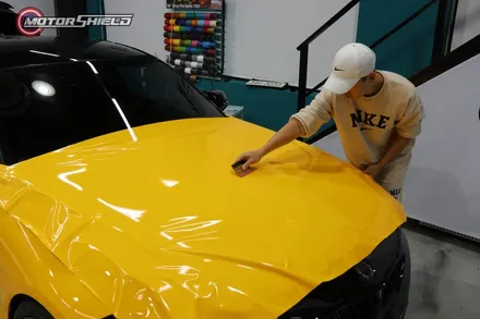 이젠 눈으로도 즐겁자! 내차를 즐기는 또 하나의 방법 BMW M2 3M 썬플라워 옐로우 유광 전체랩핑 by 대전랩핑 & 대전PPF 모터쉴드 / 대전 유성구
