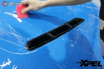 BMW M2CS 엑스펠 얼티메이트 플러스10 전체시공 by 대전랩핑 & 대전PPF 모터쉴드 / 대전 유성구