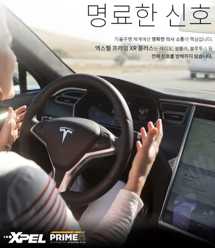 엑스펠에는 엑스펠이지... 엑스펠프라임XR플러스 썬팅 BMW M5 CS  by 대전랩핑 & 대전PPF 모터쉴드 / 대전 유성구