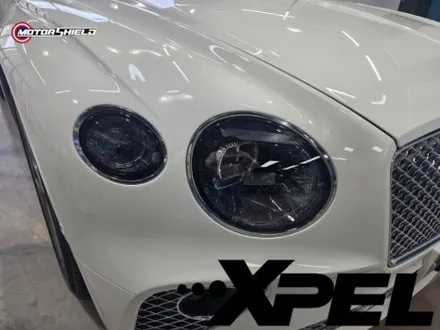 대전 모터쉴드 PPF, 벤틀리 컨티넨탈 GT 엑스펠 필름으로 생활 스크래치 방지한 후기 / 대전 유성