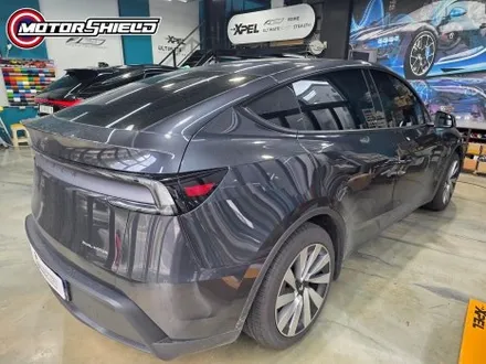 대전 모터쉴드 PPF, 테슬라 모델 Y 주니퍼 전체랩핑 리얼 시공 후기 / 대전 유성