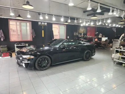 춘천엠비언트 포드머스탱오픈카 엠비언트 / 춘천시 후평동