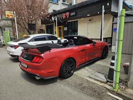 춘천랩핑 쉐보레 머스탱 전체랩핑 및 엠비언트 시공 강원도 엠비언트 / 춘천시 후평동