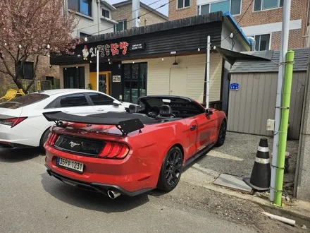 춘천랩핑 쉐보레 머스탱 전체랩핑 및 엠비언트 시공 강원도 엠비언트 / 춘천시 후평동