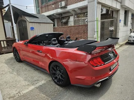 춘천랩핑 쉐보레 머스탱 전체랩핑 및 엠비언트 시공 강원도 엠비언트 / 춘천시 후평동