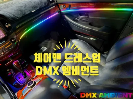체어맨 무빙 엠비언트 드레스업 최고인 DMX / 인천 남동구