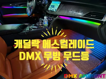 에스컬레이드 CT6 CTS 실내 튜닝 종결 캐딜락 DMX 무빙 엠비언트 / 인천 남동구