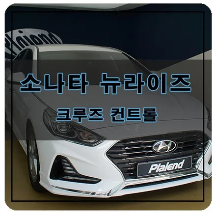 LF소나타 뉴라이즈 크루즈컨트롤 순정 시공! 장거리 운전이 훨씬 편해지는 이유! / 창원시 의창구