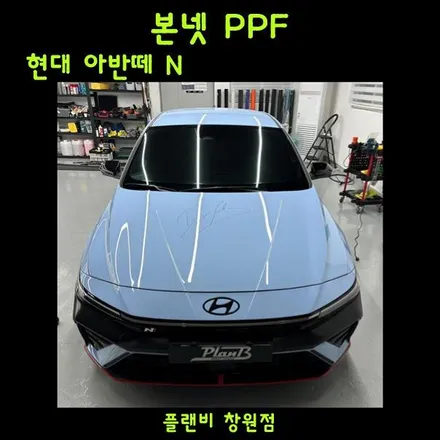 창원/마산 본넷ppf 아반떼N 보닛 랠리 1등선수 사인보호용 ppf 돌빵 및 도장보호 (디쉴드 익스트림 PPF) / 창원 팔용동