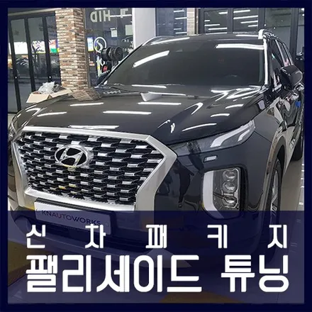 천안팰리 신차패키지 작업 (틴팅) / 천안 두정동