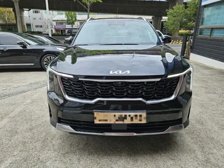 쏘렌토신차패키지버텍스900시공신차검수맛집부산사상썬팅틴팅잘하는곳