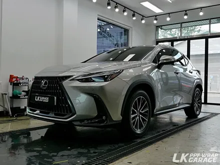돌빵 방지! 문콕 방지! 렉서스 NX450h 프론트패키지 & 문콕패키지 PPF / 하남 신장동