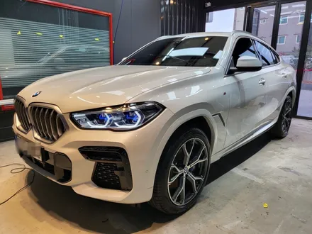 울산 유리막 코팅, 생활보호 PPF_BMW X6 G06 신차에 시공하기 / 울산 북구, 부산, 포항