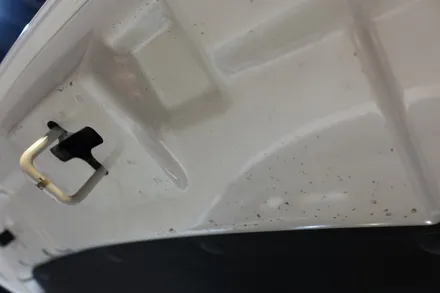 울산 디테일링세차 소나타 낙진 제거하기, 코로나바이러스 자동차 살균소독 / 울산 북구, 부산, 포항