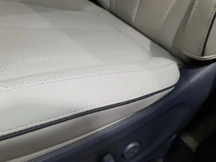 팰리세이드 웜그레시트 청바지 이염 오줌자국 복원하기 / 울산 북구, 부산, 포항