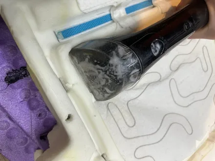 울산 스포티지 반려견, 애완견 소변 크리닝 하기 / 울산 북구, 부산, 포항