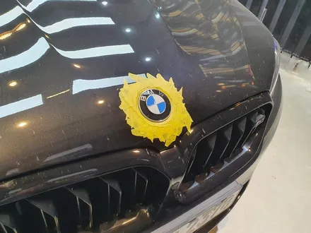 BMW M5 F90 풀 전체 PPF 시공기 루페스 울산점 / 울산 북구, 부산, 포항