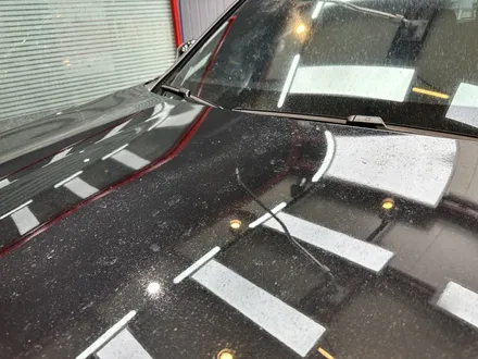 울산 낙수 피해 BMW X3 오염물 제거하고 광택, 유리막 코팅 시공 / 울산 북구, 부산, 포항
