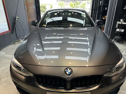 울산 BMW 430i 자동차 광택, 글론 유리막코팅 시공으로 컨디션 회복하기! / 울산 북구, 부산, 포항