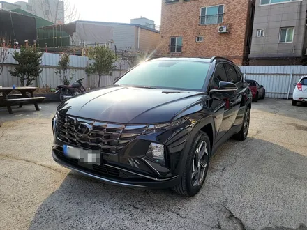 투싼 NX4  신차 유리막 코팅, 생활보호 필러 하이그로시 PPF 시공하기 / 울산 북구, 부산, 포항