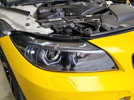 BMW Z4 헤드라이트 스모크 PPF로 드레스업하기 / 울산 북구, 부산, 포항