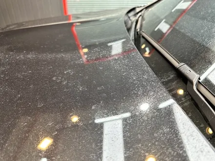울산 낙수 피해 BMW X3 오염물 제거하고 광택, 유리막 코팅 시공 / 울산 북구, 부산, 포항