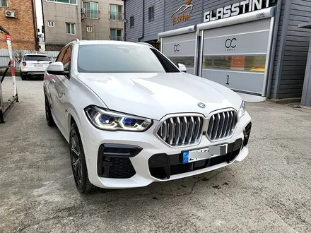 울산 유리막 코팅, 생활보호 PPF_BMW X6 G06 신차에 시공하기 / 울산 북구, 부산, 포항