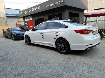 울산 디테일링세차 소나타 낙진 제거하기, 코로나바이러스 자동차 살균소독 / 울산 북구, 부산, 포항
