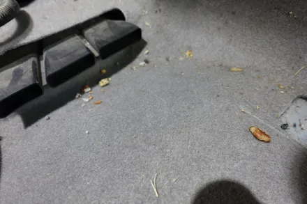 도요타 캠리 울산 중구 실내크리닝으로 중고차 흔적 없애기 / 울산 북구, 부산, 포항