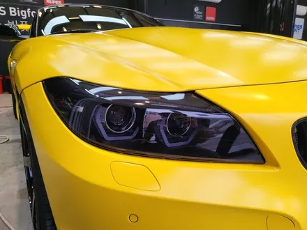 BMW Z4 헤드라이트 스모크 PPF로 드레스업하기 / 울산 북구, 부산, 포항